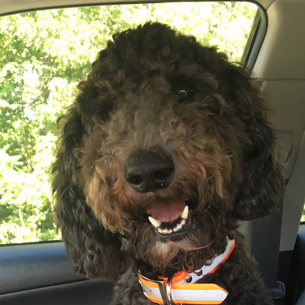 Meet your Posher, Madison